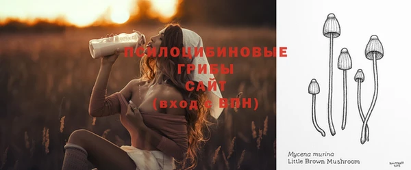 стаф Краснослободск