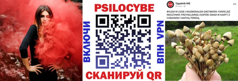 Псилоцибиновые грибы прущие грибы  MEGA зеркало  Почеп 